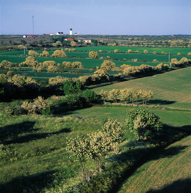 29_Erhöhte-Standorte-suchen