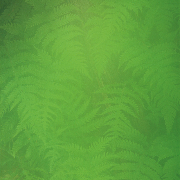 58_Die-Linse-anhauchen