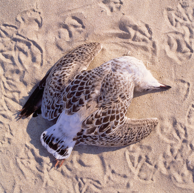 68_Geschichten-erzählen