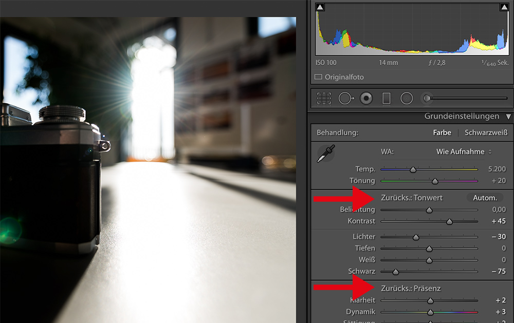Lightroom: Ansicht des Bildes mit Alt-Taste