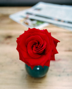 (Sekor 67 mm, auf Kodak Ektar 100)